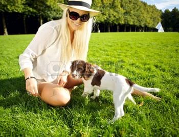 about-pet